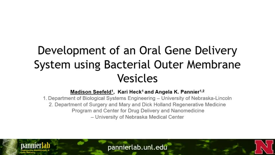 The Development of an Oral Gene Delivery System using Bacterial Outer Membrane Vesicles