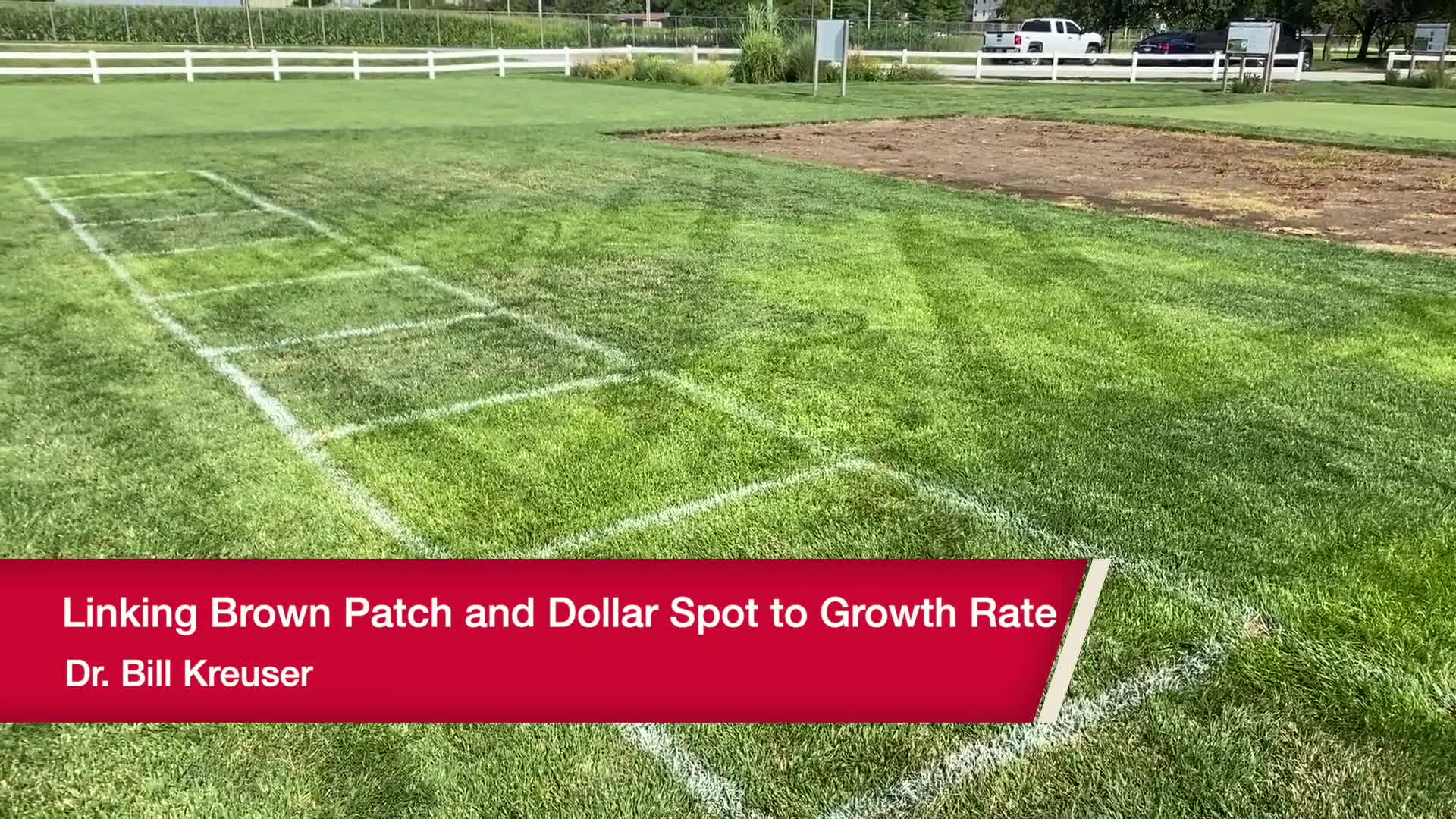 Linking Brown Patch and Dollar Spot to Growth Rate