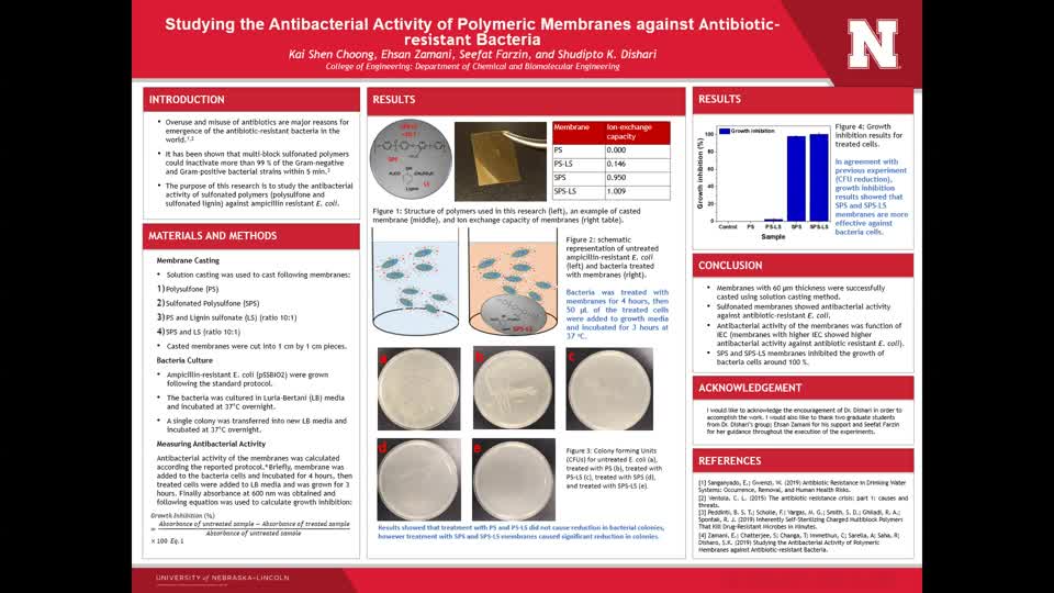 Antibacterial Activity of Polymeric Membranes Against Antibiotic-Resistant Bacteria