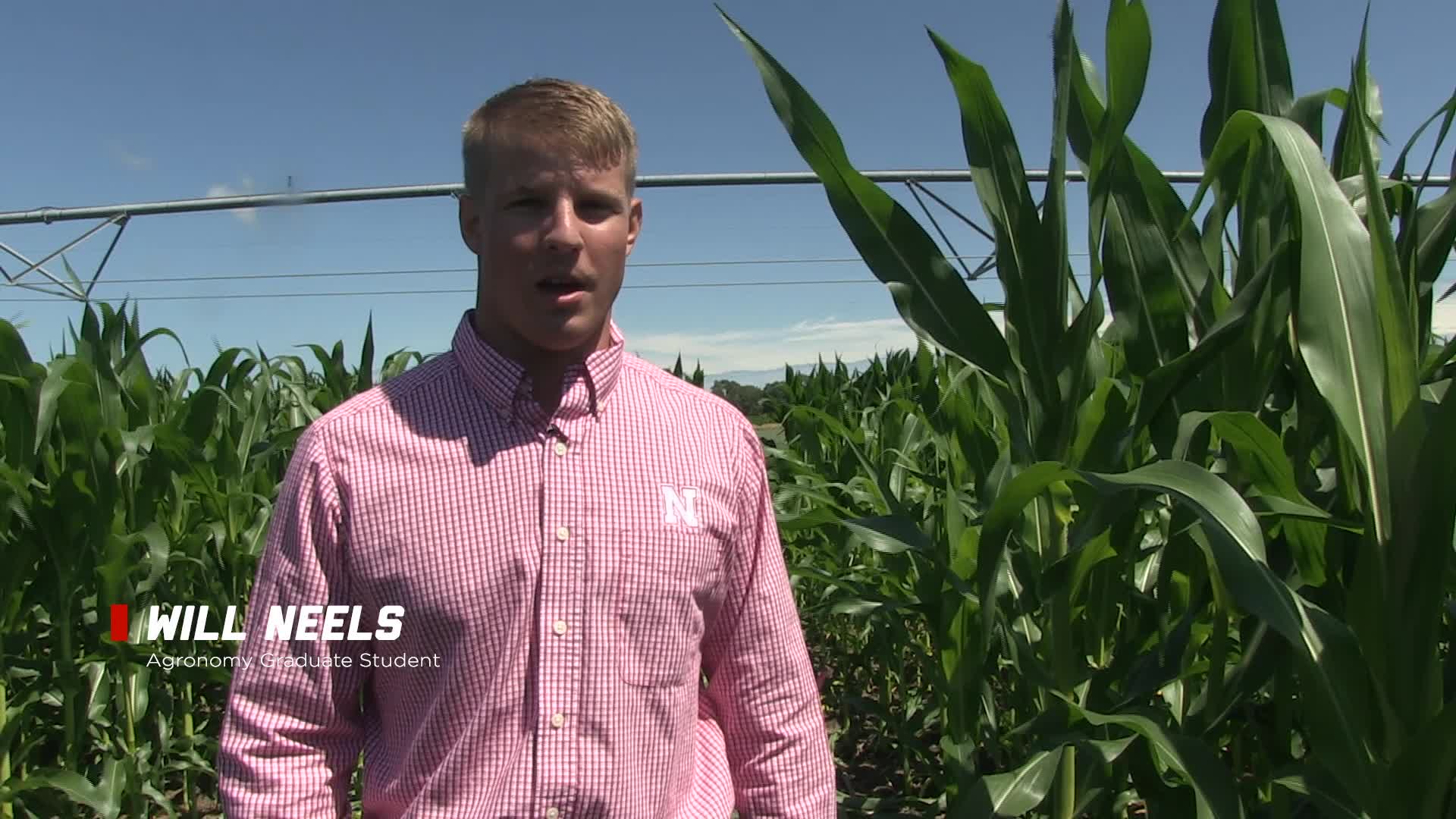 Corn Nitrogen Rate and Timing Field Trials with Will Neels
