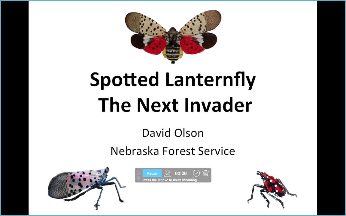 Spotted Lanternfly & EAB update