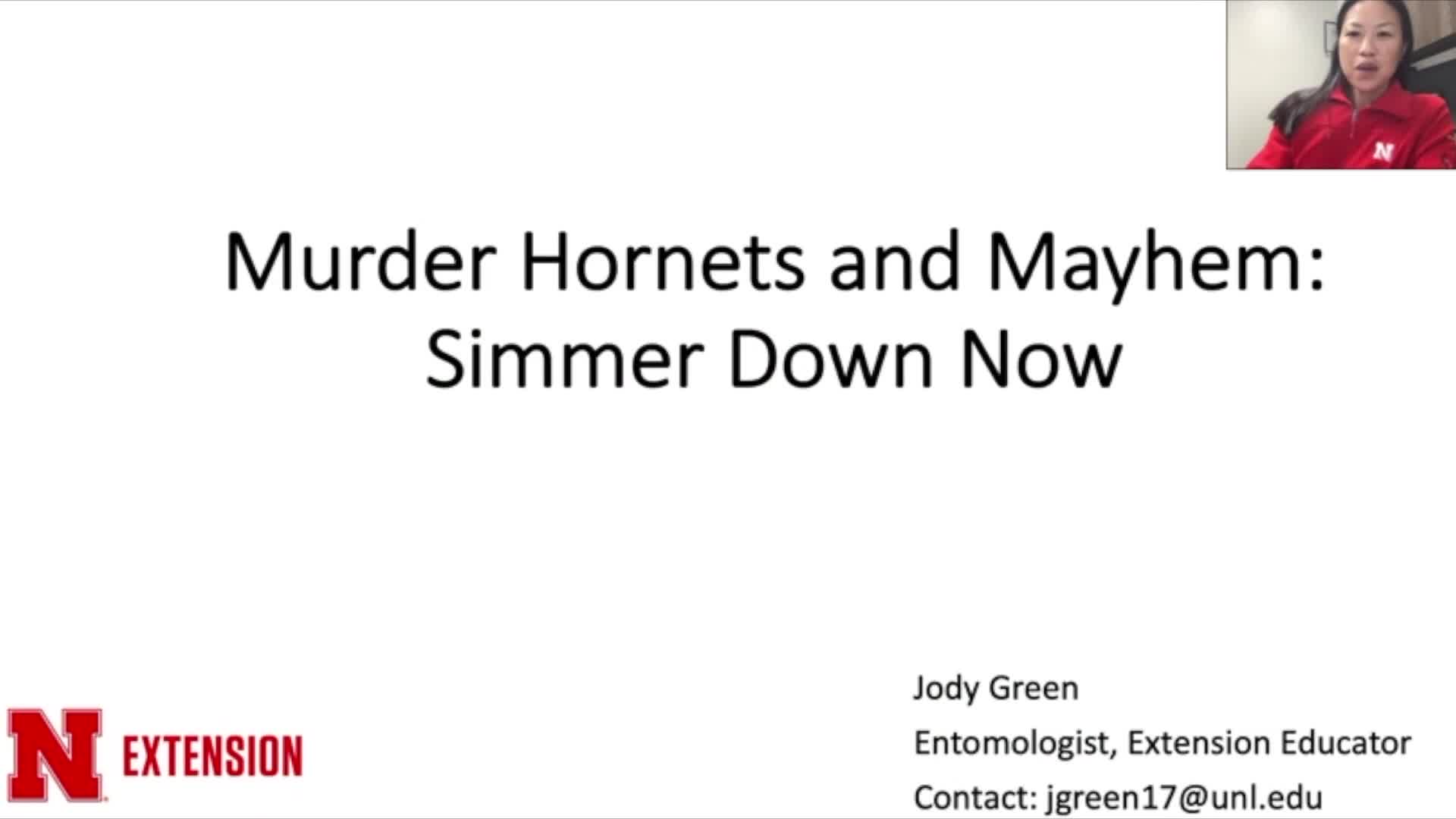 Murder Hornets and Mayhem: Simmer Down Now