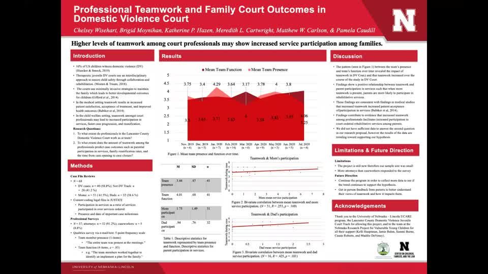 Professional Teamwork and Family Court Outcomes in Domestic Violence Court