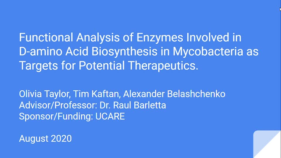 Functional Analysis of Enzymes Involved in D-amino Acid Biosynthesis in Mycobacteria as Targets for Potential Therapeutics
