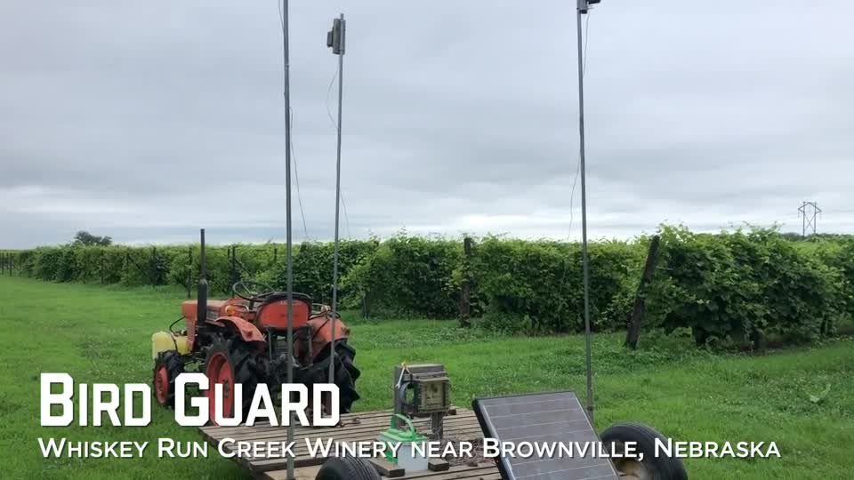 Bird Guard – Whiskey Run Creek Winery