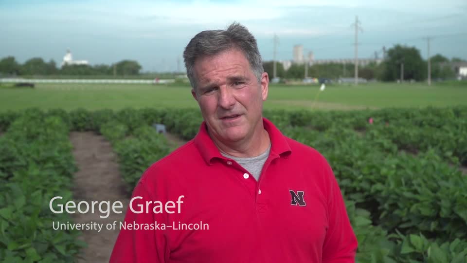 University of Nebraska Soybean Breeding Program