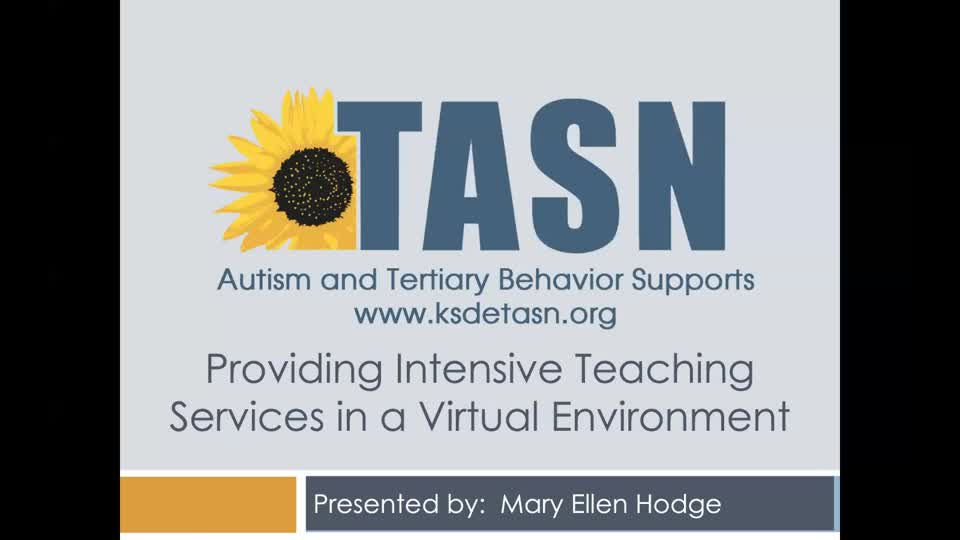 Providing Intensive Teaching Services in a Virtual Environment