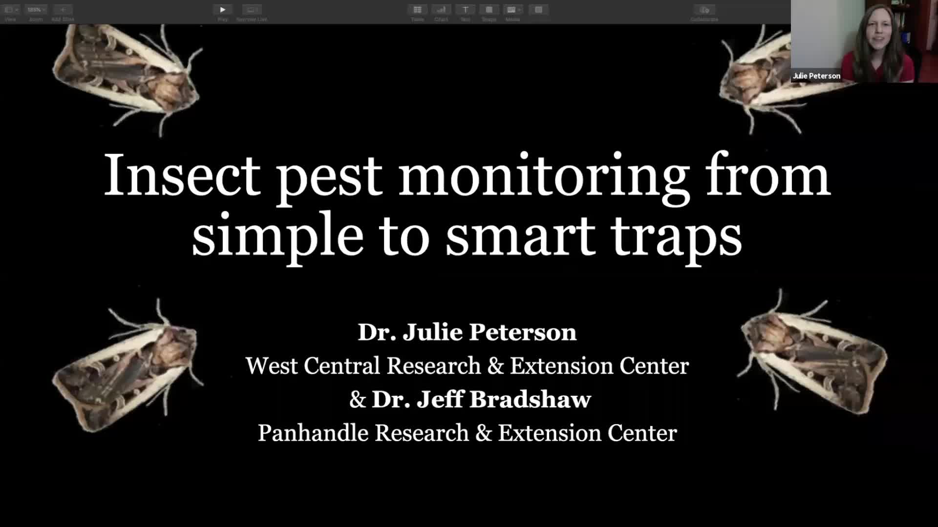 Modern Insect Pest Monitoring Using Automatic Traps - Alabama
