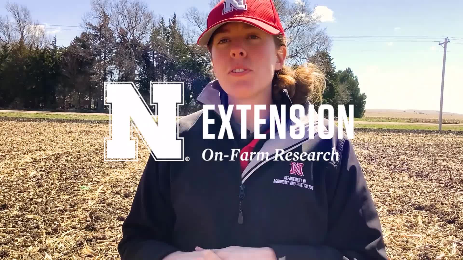 Reducing Nitrate Leaching with Manure Application 