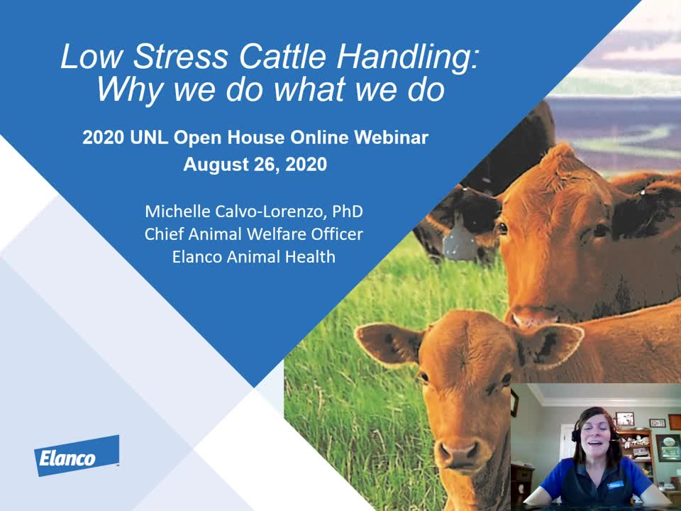 Low Stress Animal Handling: Why we do what we do