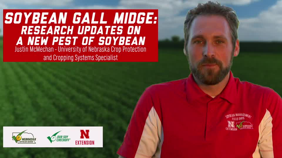 2 - 2020 Soybean Management Field Days - Soybean Gall Midge: Research Updates on a New Pest of Soybean