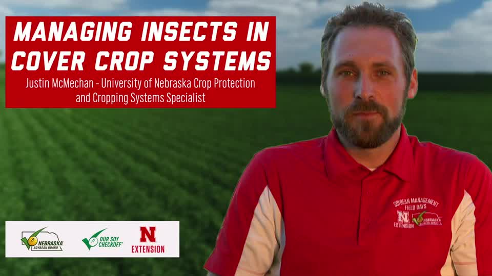 3 - 2020 Soybean Management Field Days - Managing Insects in Cover Crop Systems