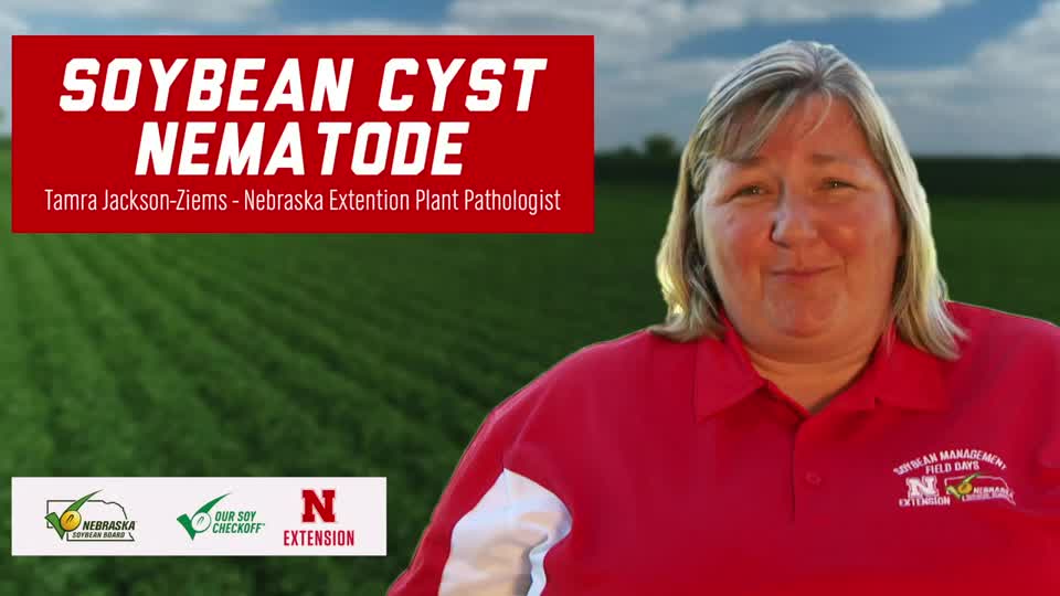 4 - 2020 Soybean Management Field Days - Soybean Cyst Nematodes Update