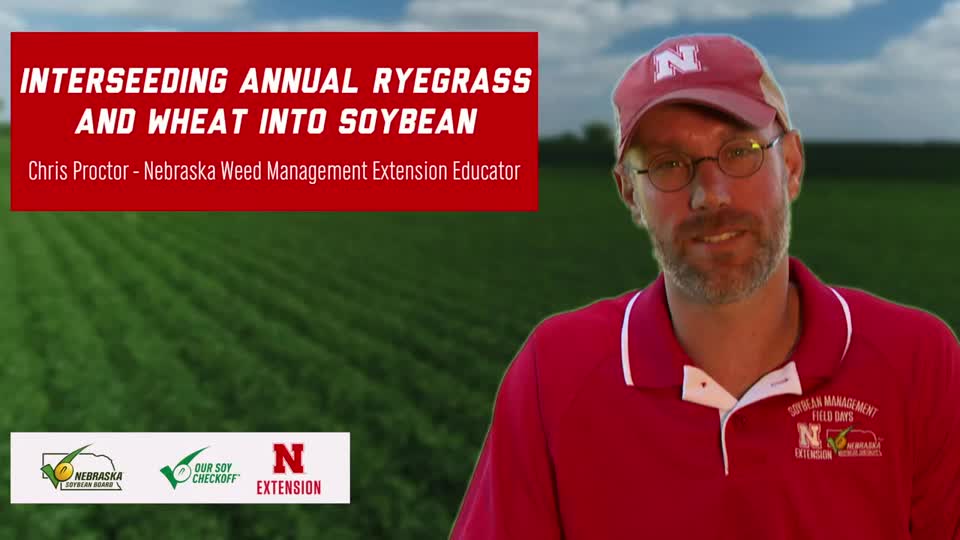 10 - 2020 Soybean Management Field Days - Interseeding Annual Ryegrass and Wheat into Soybean