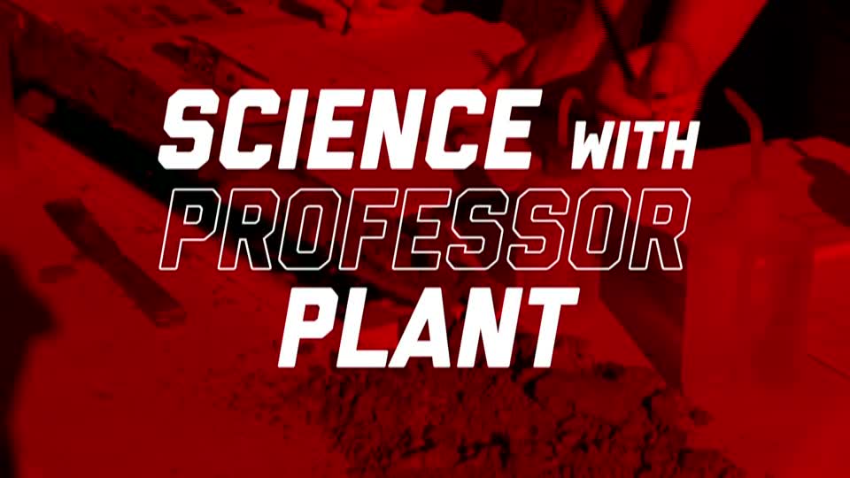 Science with Professor Plant – Beck Young