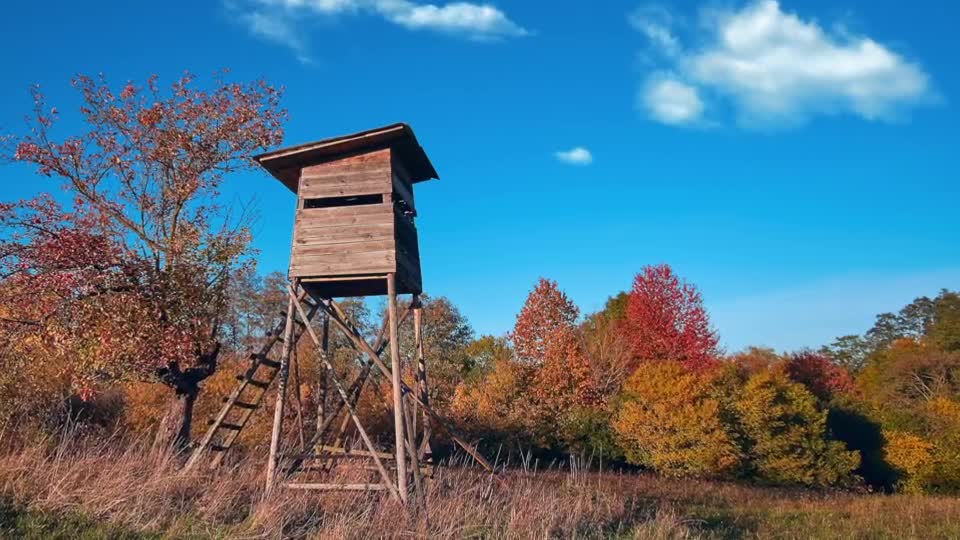 Hunting Research