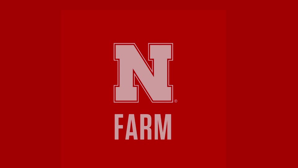 12 - NRCS Partnership, Grants and CRP | Farmland Trends and Lease Considerations for 2021