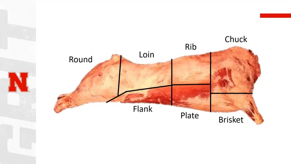 Beef Carcass Evaluation and Value
