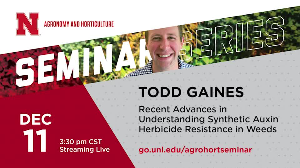 Recent Advances in Understanding Synthetic Auxin Herbicide Resistance in Weeds