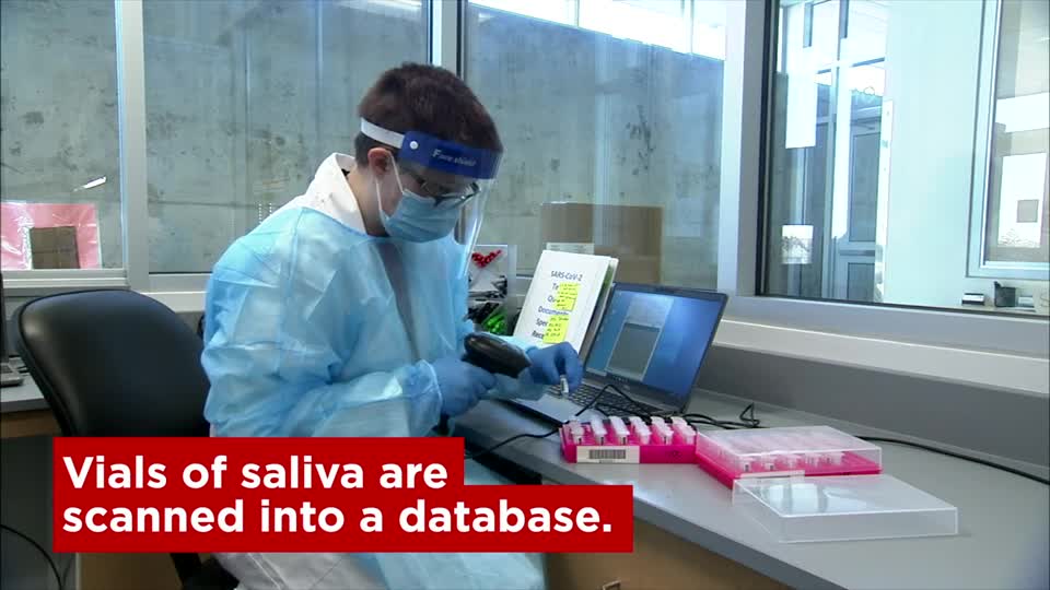 Saliva Testing: How it Works