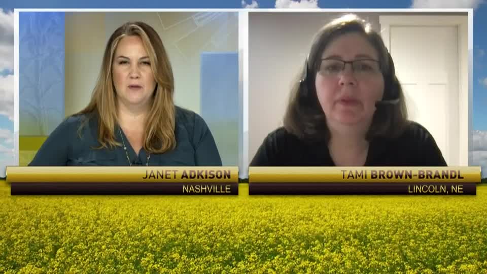 On RFD-TV: Tami Brown-Brandl