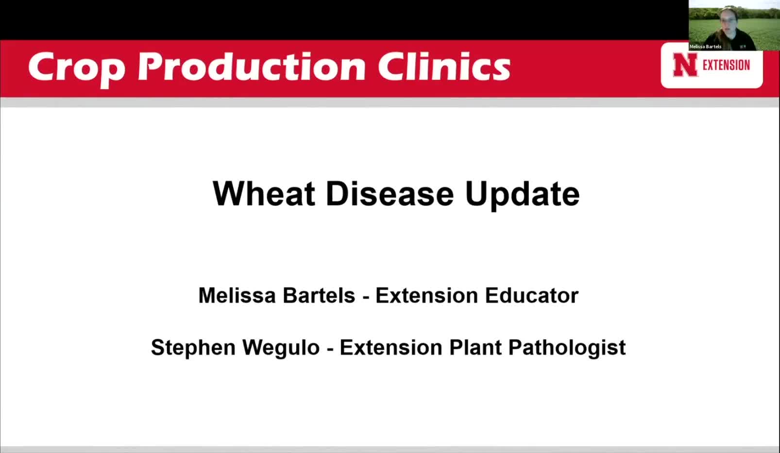 Wheat Disease Update