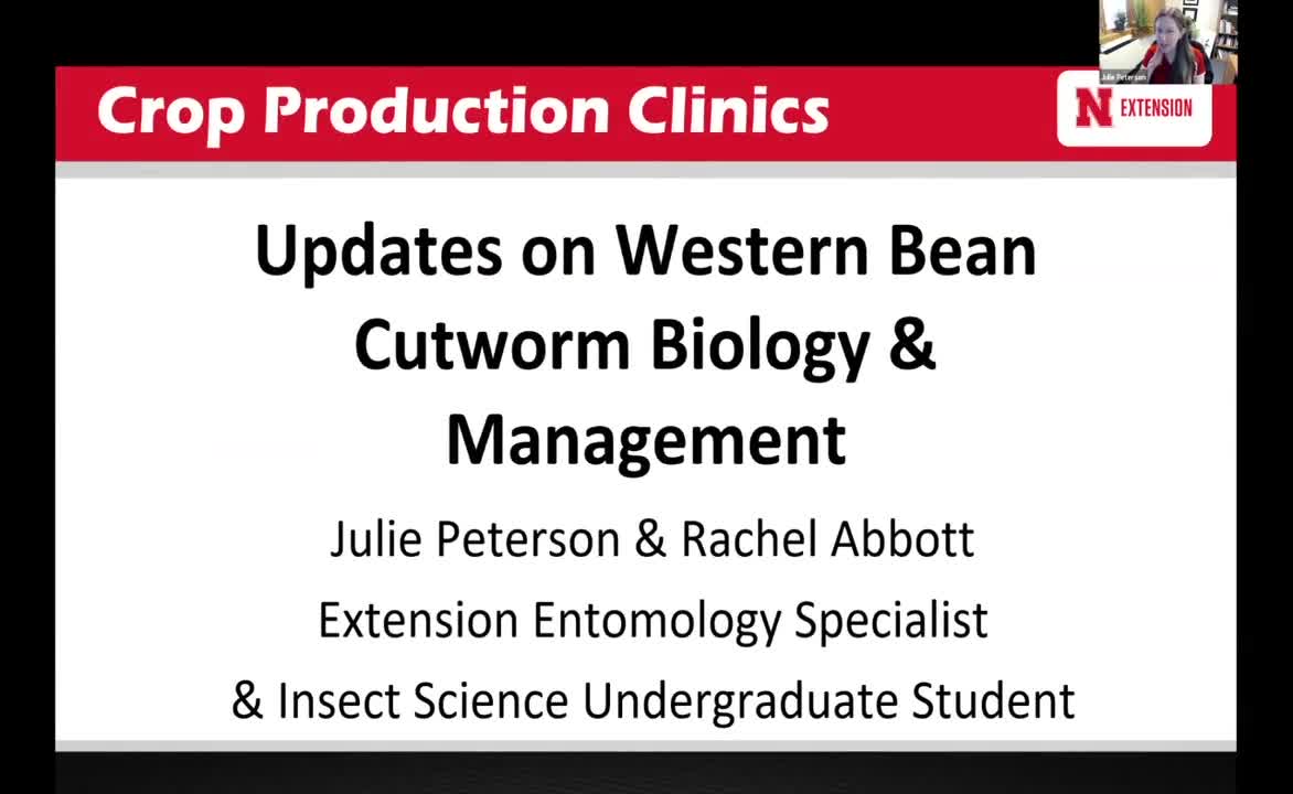 Updates on Western Bean Cutworm Biology and Management
