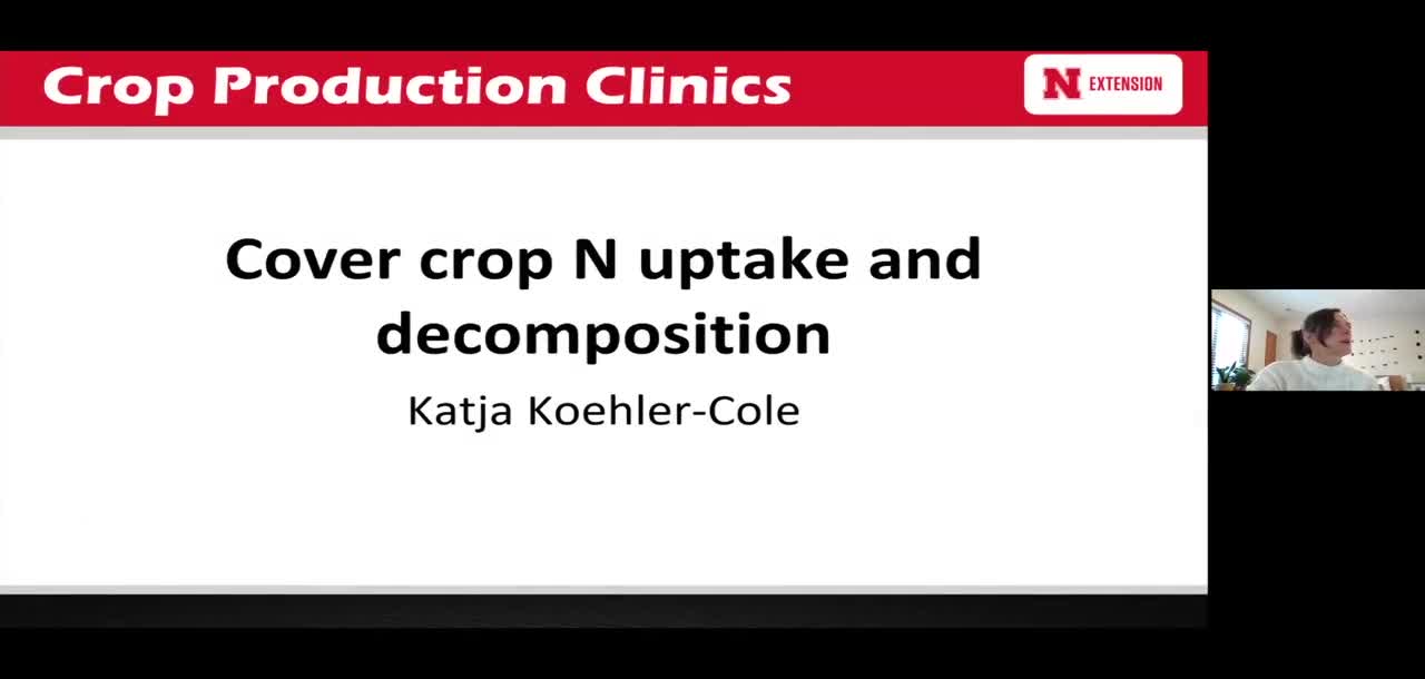 Cover crop N uptake and decomposition