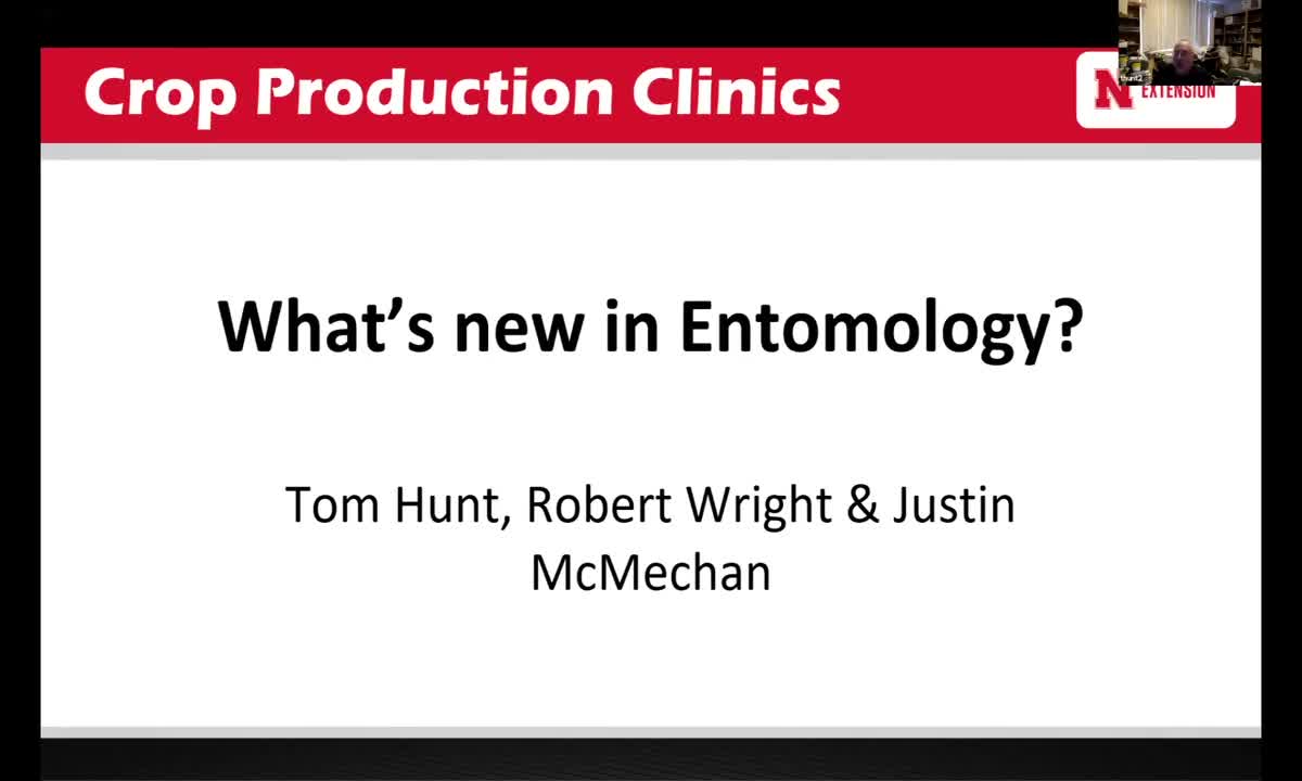 What’s new in Entomology