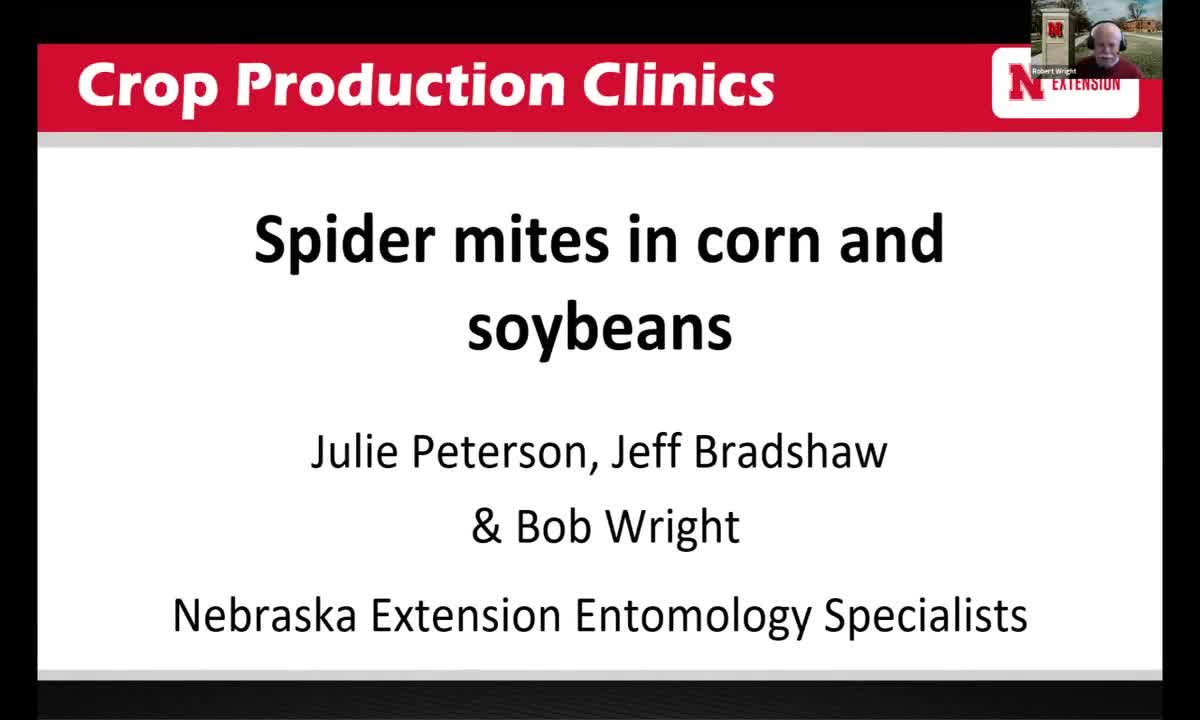 Spider mite management in corn and soybeans