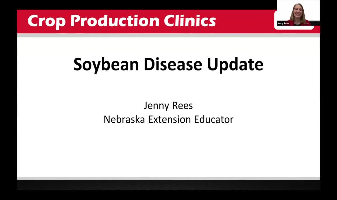 Soybean Disease Update