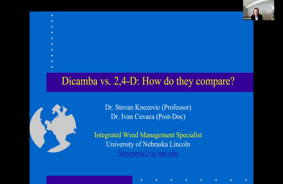 2,4_D vs. Dicamba How do they compare
