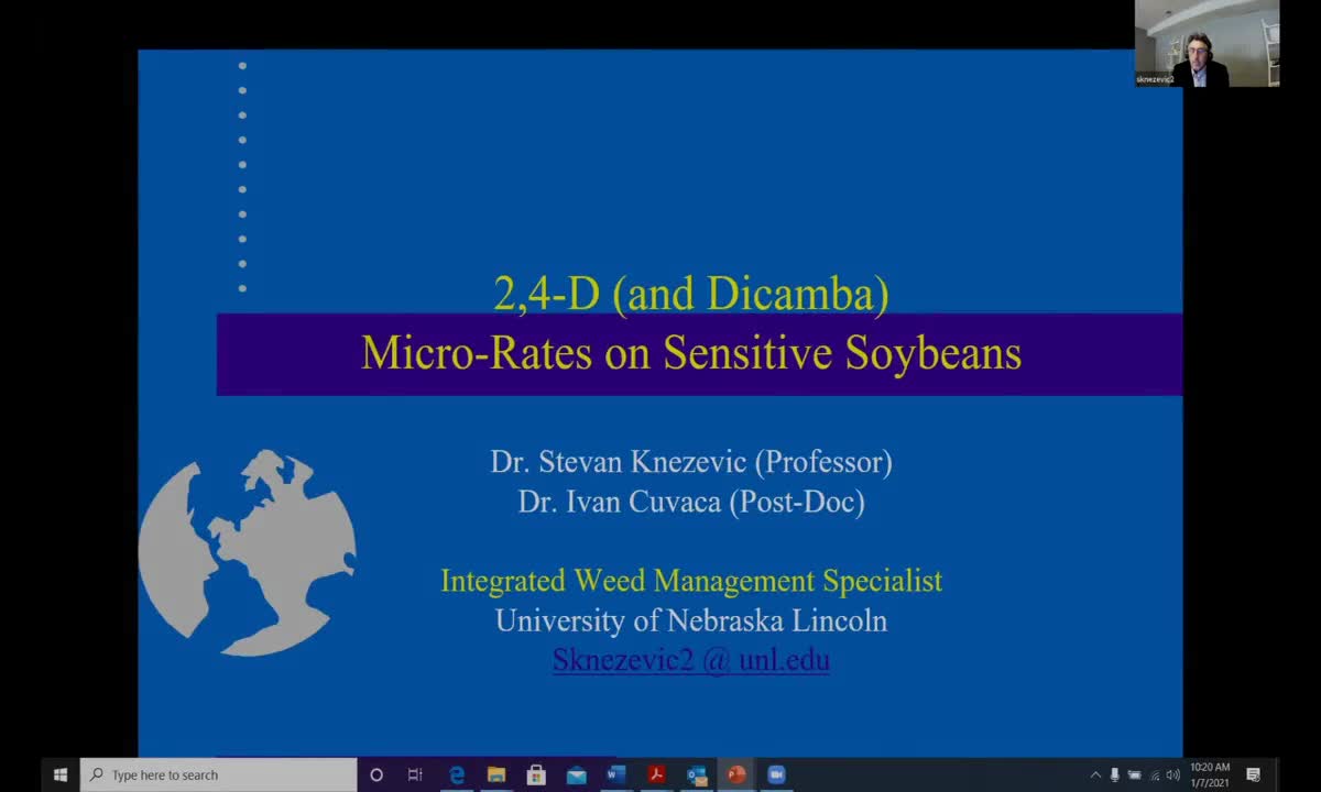 2,4_D and Dicamba Micro Rates on Sensitive Soybean