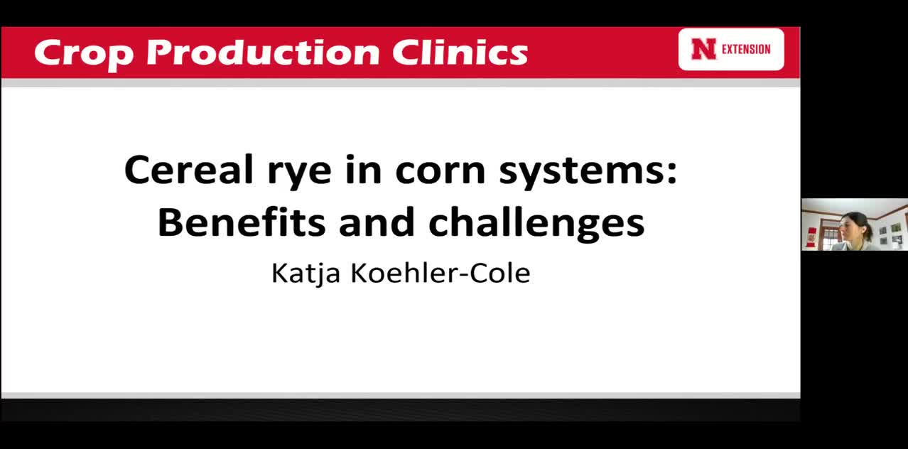 Cereal rye in corn systems: Benefits and Challenges