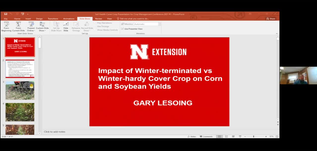 Impact of Winter-terminated vs Winter-hardy Cover Crop on Corn and Soybean Yields