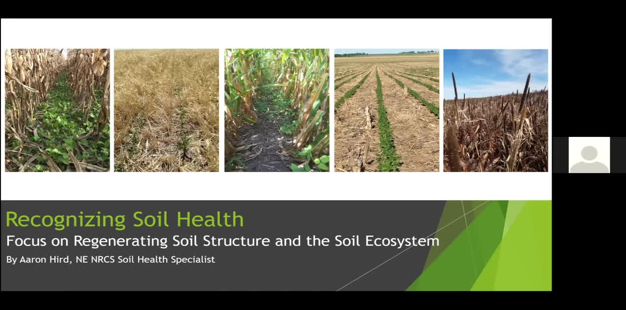 Recognizing Soil Health-Focus on Regenerating Soil Structure and the Soil Ecosystem