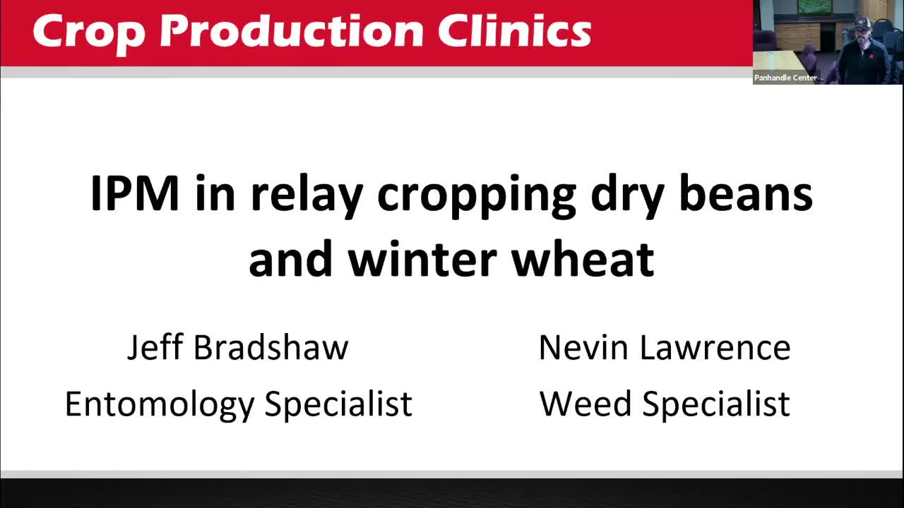 IPM in relay cropping dry beans and winter wheat 