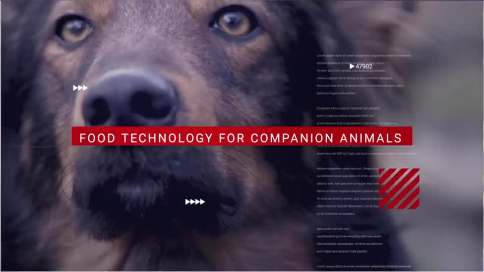 Nebraska Food Technology for Companion Animals 