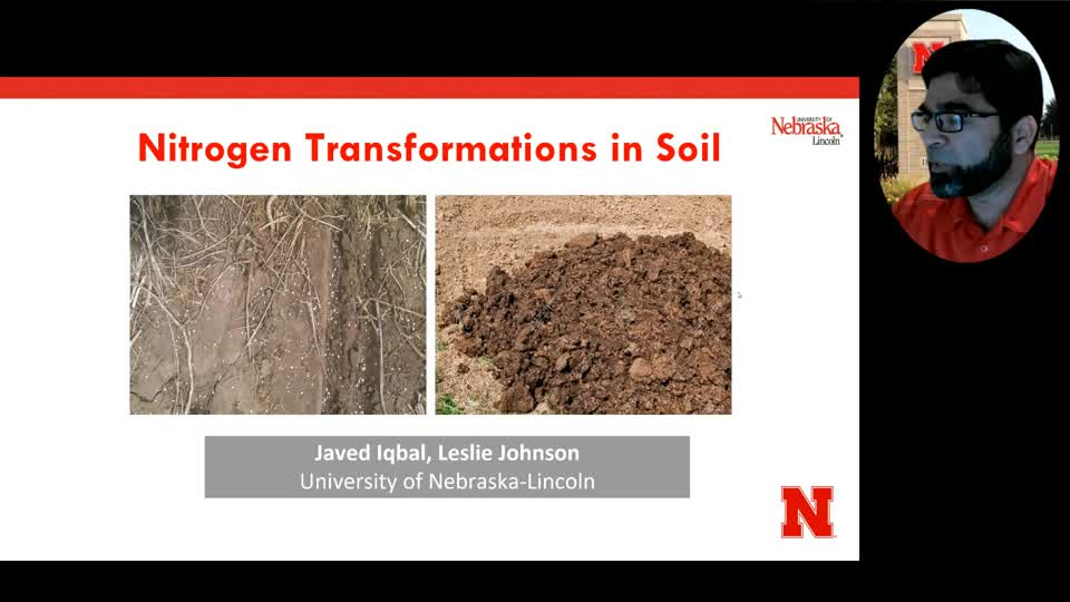 Nitrogen Transformations in Soil