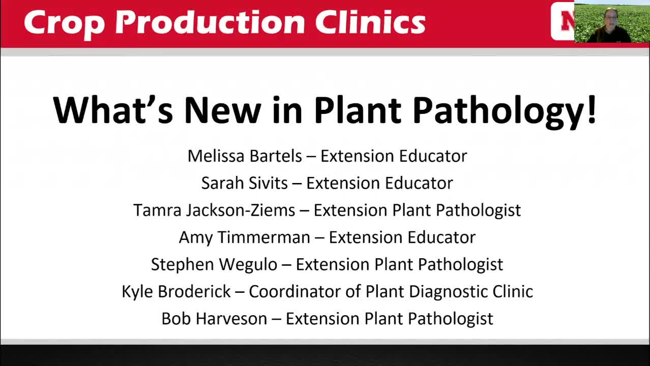 What's New in Plant Pathology?