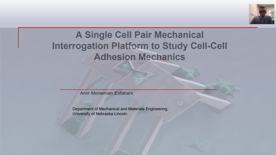 A SINGLE CELL PAIR MECHANICAL INTERROGATION PLATFORM TO STUDY CELL-CELL ADHESION MECHANICS