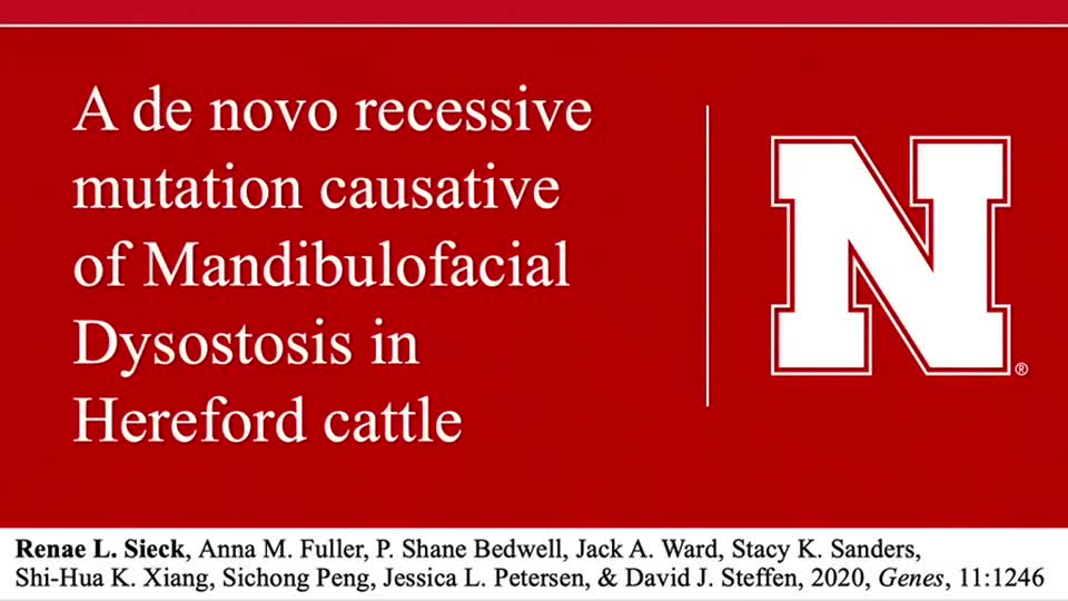 A de novo recessive mutation causative of Mandibulofacial Dysostosis in Hereford cattle