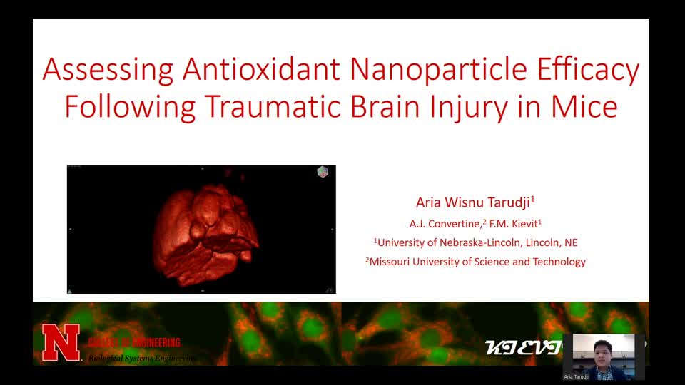 Assessing Antioxidant Nanoparticle Efficacy Following Traumatic Brain Injury in Mice