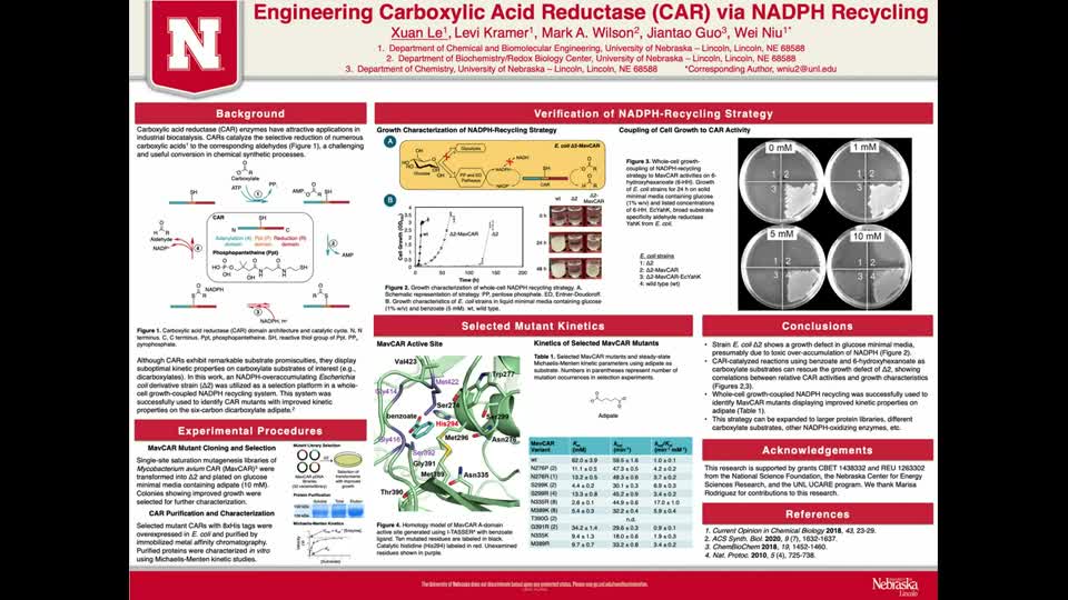 Engineering Carboxylic Acid Reductase (CAR) via NADPH Recycling