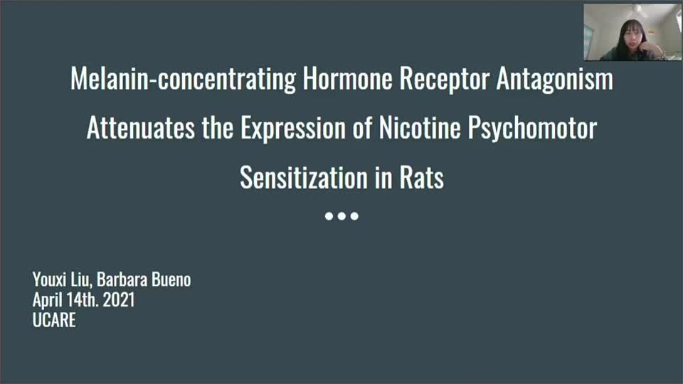 Melanin-concentrating Hormone Receptor Antagonism Attenuates the Expression of Nicotine Psychomotor Sensitization in Rats