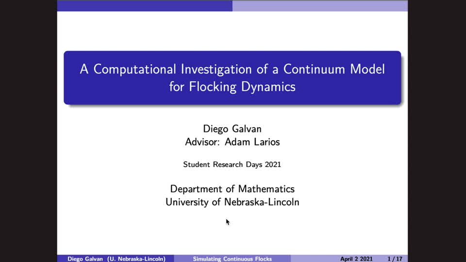 A Computational Investigation of a Continuum Model for Flocking Dynamics