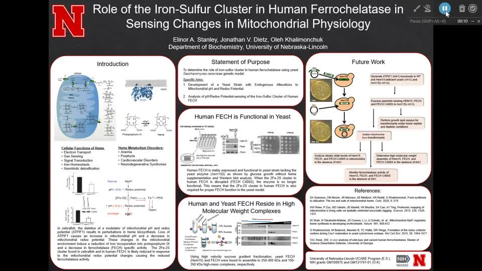 Role of the Iron-Sulfur Cluster in Human Ferrochelatase in Sensing Changes in Mitochondrial Physiology