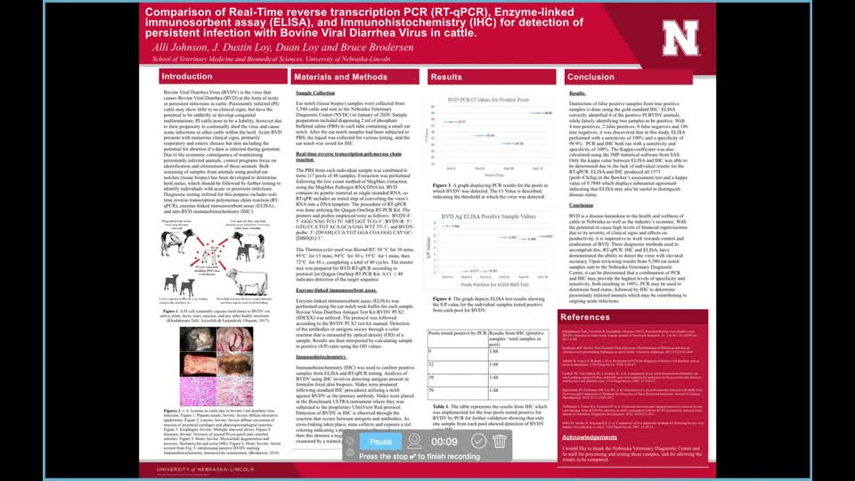 Comparison of Real-Time reverse transcription PCR (RT-qPCR), Enzyme-linked immunosorbent assay (ELISA), and Immunohistochemistry (IHC) for detection of persistent infection with Bovine Viral Diarrhea Virus in cattle.
