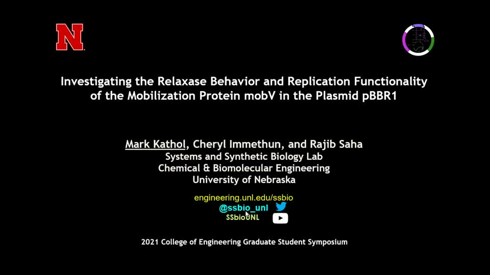 Investigating the Relaxase Behavior and Replication Functionality of the Mobilization Protein mobV in the Plasmid pBBR1