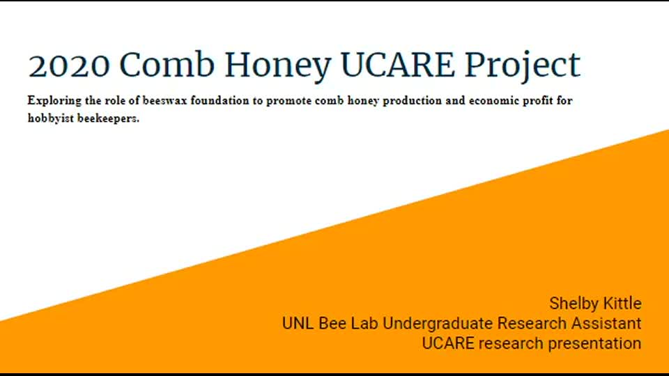 Exploring the role of beeswax foundation to promote comb honey production and economic profit for hobbyist beekeepers.
